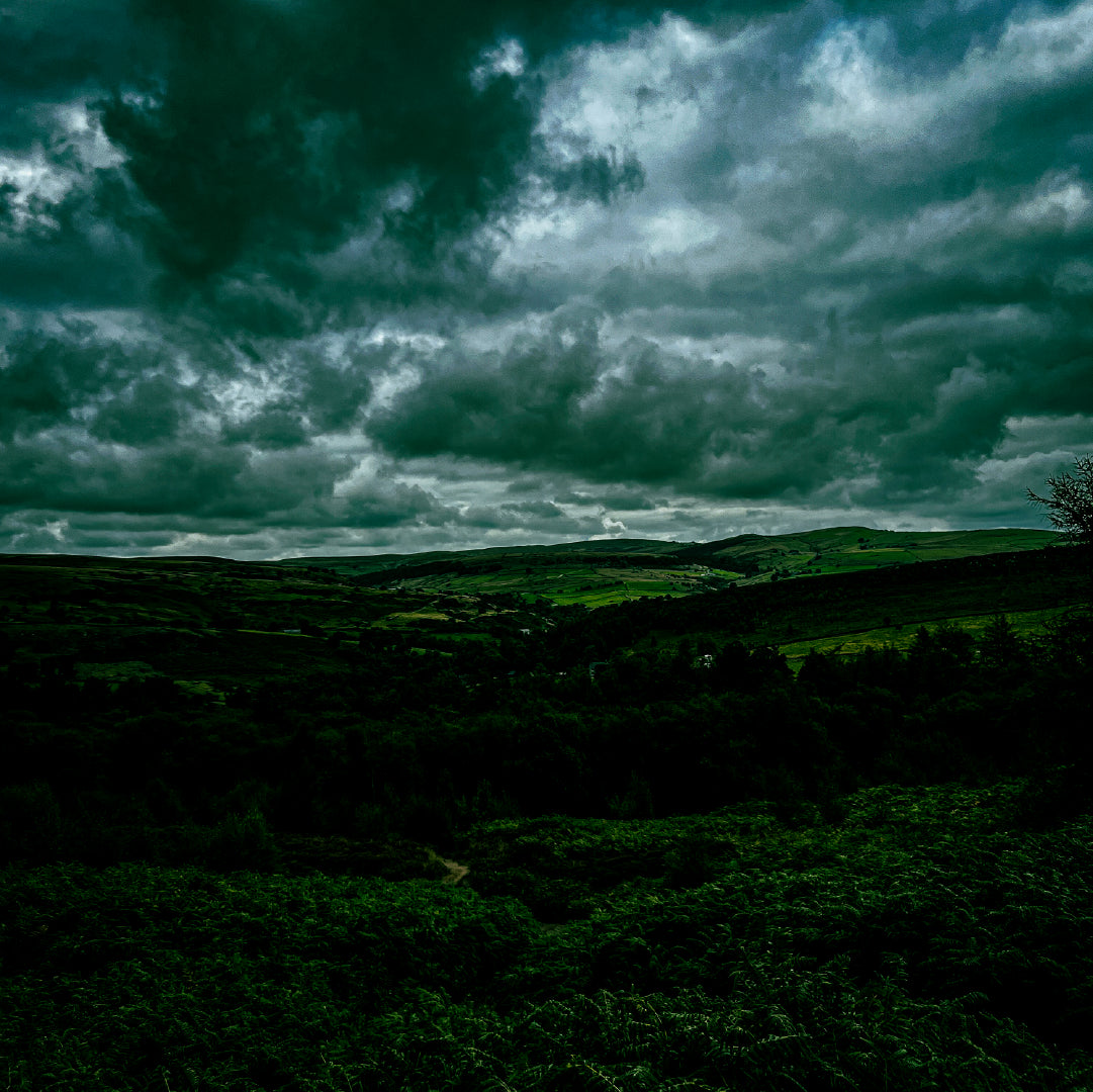 Northern Contrast - Adobe Lightroom Preset Pack