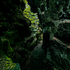 Northern Contrast - Adobe Lightroom Preset Pack